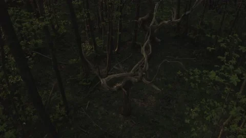  - DJI Mavic Pro 2 - 4K - 23.98 fps - UK Stock Footage 148542453