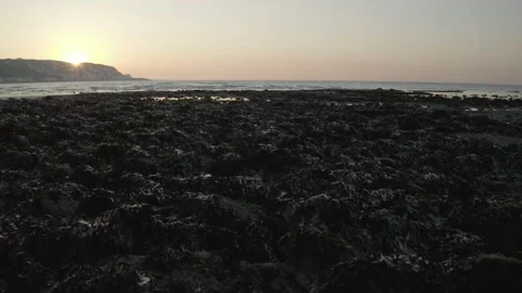  - DJI Mavic Pro 2 - 4K - 23.98 fps - UK Stock Footage 148544731