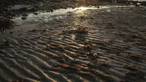  - DJI Mavic Pro 2 - 4K - 23.98 fps - UK Stock Footage 148545712