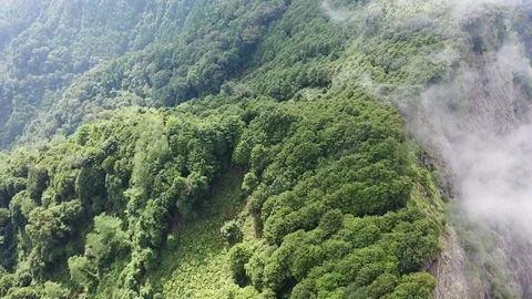 DJI MAVIC2 4K Taiwan Taichung Aerial Drone Yuanzui Shaolai Mountain 20190908 Stock Footage 115582953