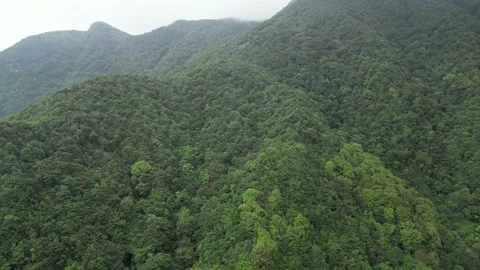 DJI Mini 3 Pro Guangzhou  Conghua heaven mountain 20220528  6 Stock Footage 195909830