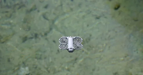 DJI Neo 2 drone hovering flying over shallow water Stock Footage 332490470
