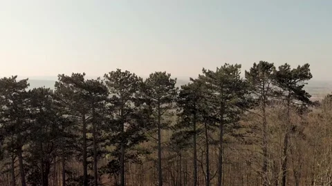 DJI quarry Stock Footage 145533932
