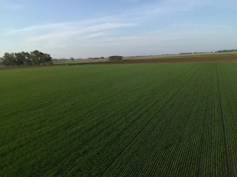 Dji tello Stock Photos