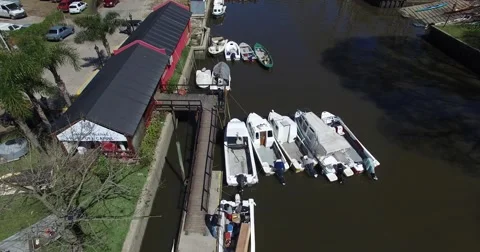 DJI Tigre 0018 Видео 54913477