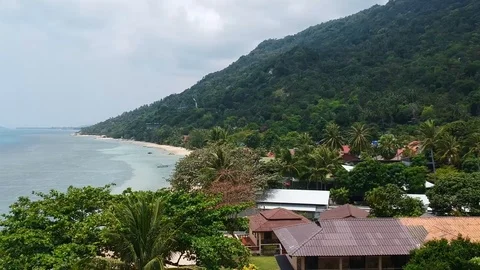 DJI Tropical island Fly Down Palmtrees beach houses Stock-Footage 101109752