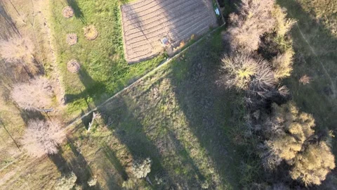 DJI zenith drone over field Stock Footage 196287339