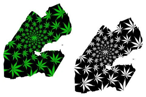 Djibouti - map is designed cannabis leaf Stock Illustration