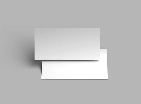 DL 8.3x3.9 inc flyer render to present your design. Stock Illustration