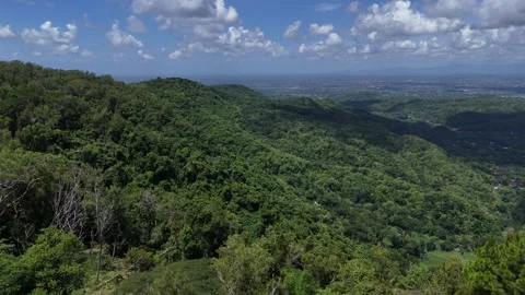 Dlingo hills and pine forest forest in Special Region of Yogyakarta. Stock Footage 332379082
