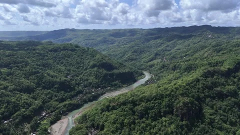 Dlingo hills and pine forest forest in Special Region of Yogyakarta. Stock Footage 332379183