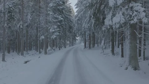 Dlog Drone footage of Winter forest in Krusne Hory Czech republic Video stock 294248442