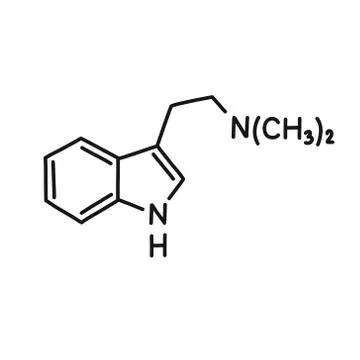DMT, N,N-Dimethyltryptamine chemical formula doodle icon, vector illustration Stock Illustration