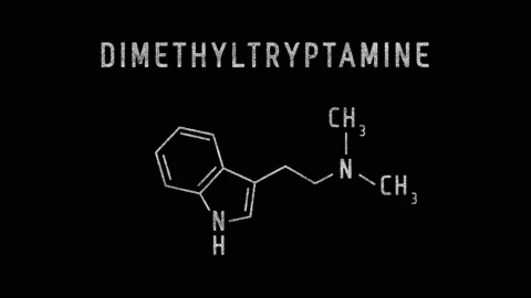 DMT or Dimethyltryptamine Molecular Structure Symbol Sketch or Drawing Stock Footage 153792726