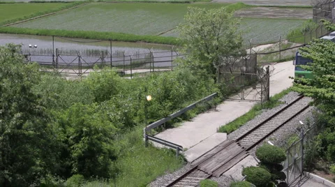 DMZ Panmunjon North Korean border rice fields and train passing by Stock Footage