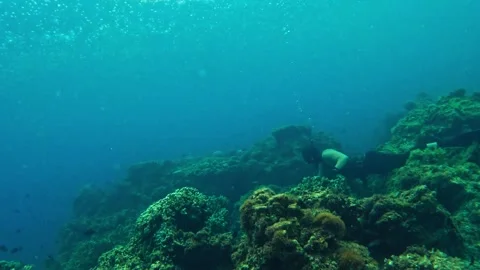 D&amp;n production Stock Footage 256852581