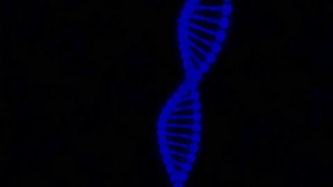 DNA 01 Vídeos de archivo 153904565
