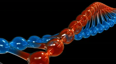 Dna 02 Stock Footage 374288