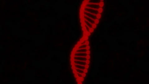 DNA 04 Stock Footage 153921482