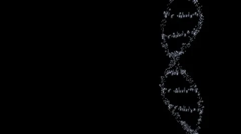 DNA 1 Video stock 1105658