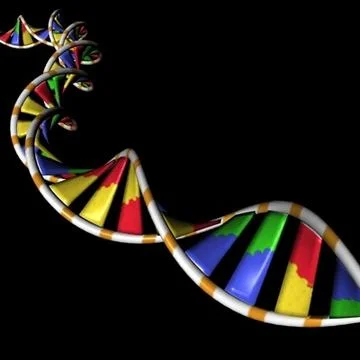 DNA 3D Model