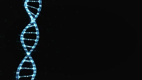 DNA 3D animation on dark background. Science and medicine concepts. Stock Footage 146200781