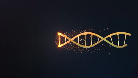 DNA 3D animation on dark background. Science and medicine concepts Stock Footage 246339737