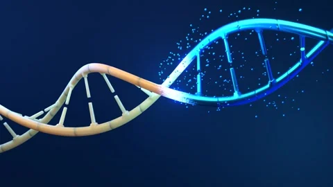 DNA 3D animation on dark background. Science and medicine concepts Stock Footage 246339752