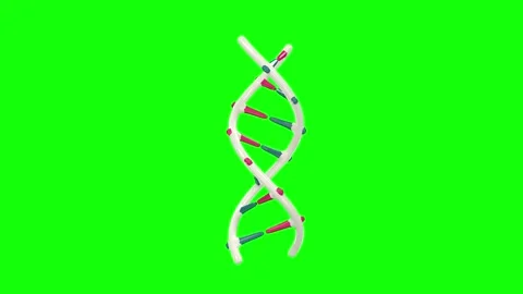 DNA 3d animation. DNA rotation animation Stock Footage 289540318