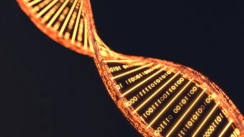 DNA 3D animation, Science and medicine concepts, Binary DNA molecule Stock Footage 260876108