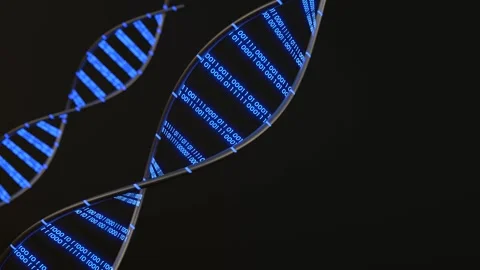 DNA 3D animation, Science and medicine concepts, Binary DNA molecule Stock Footage 260876204