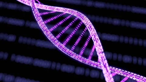 DNA 3D animation, Science and medicine concepts, Binary DNA molecule Video stock 260876208