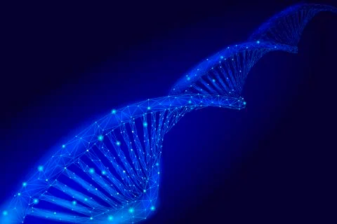 DNA 3D chemical molecule structure low poly. Polygonal triangle point line he Illustrazione stock