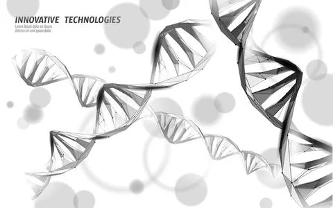 DNA 3D chemical molecule structure low poly. Polygonal triangle point line 库存插图
