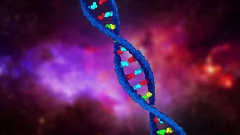 DNA 3D Vídeos de archivo 80864106