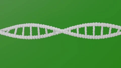 DNA 3d model green screen Video stock 303464253