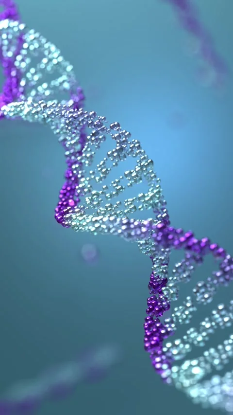DNA 3D render science or medical background, DNA. molecule structure Video stock 336447329