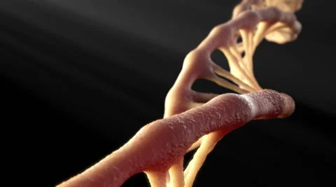 DNA 8 seconds - Clean Background Видео 57324678