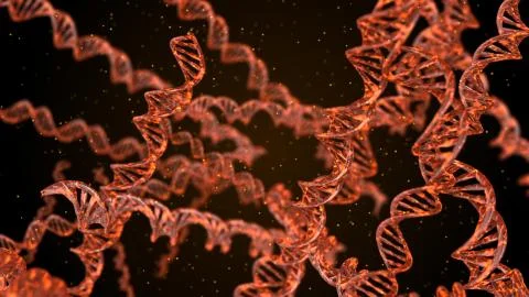 DNA. Abstract 3d polygonal wireframe DNA molecule helix spiral. Stock Illustration
