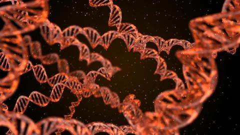 DNA. Abstract 3d polygonal wireframe DNA molecule helix spiral. Stock Illustration