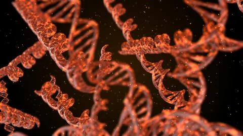 DNA. Abstract 3d polygonal wireframe DNA molecule helix spiral. Stock Illustration