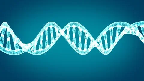 DNA. Abstract 3d polygonal wireframe DNA molecule helix spiral. Stock Illustration