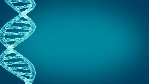 DNA. Abstract 3d polygonal wireframe DNA molecule helix spiral. Stock Illustration
