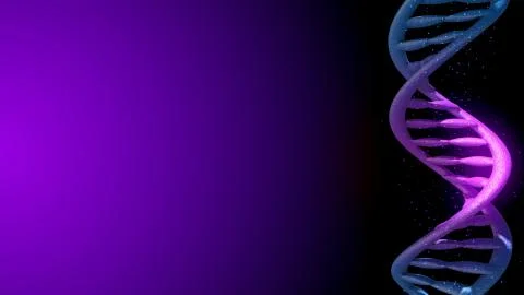DNA. Abstract 3d polygonal wireframe DNA molecule helix spiral. Stock Illustration