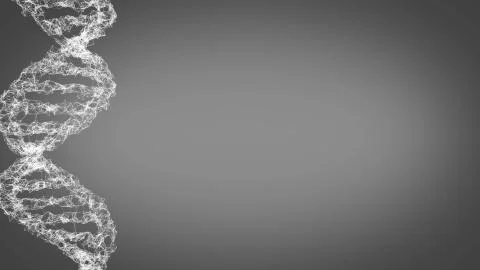 DNA. Abstract 3d polygonal wireframe DNA molecule helix spiral. Stock Illustration