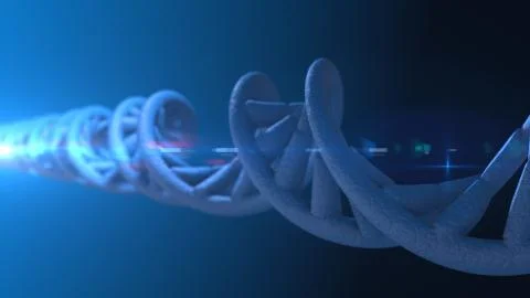 DNA. Abstract 3d polygonal wireframe DNA molecule helix spiral. Stock Illustration