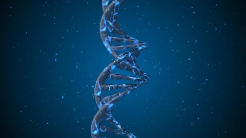 DNA. Abstract 3d polygonal wireframe DNA molecule helix spiral. Stock Illustration