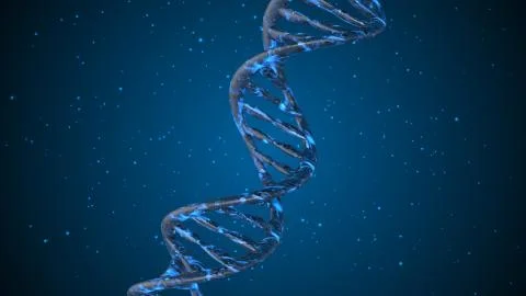 DNA. Abstract 3d polygonal wireframe DNA molecule helix spiral. Stock Illustration
