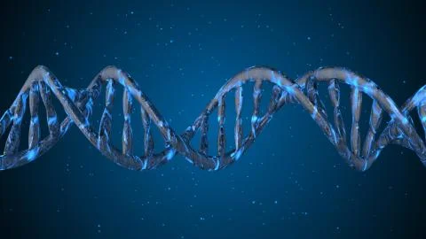 DNA. Abstract 3d polygonal wireframe DNA molecule helix spiral. Stock Illustration