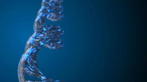 DNA. Abstract 3d polygonal wireframe DNA molecule helix spiral. Stock Illustration